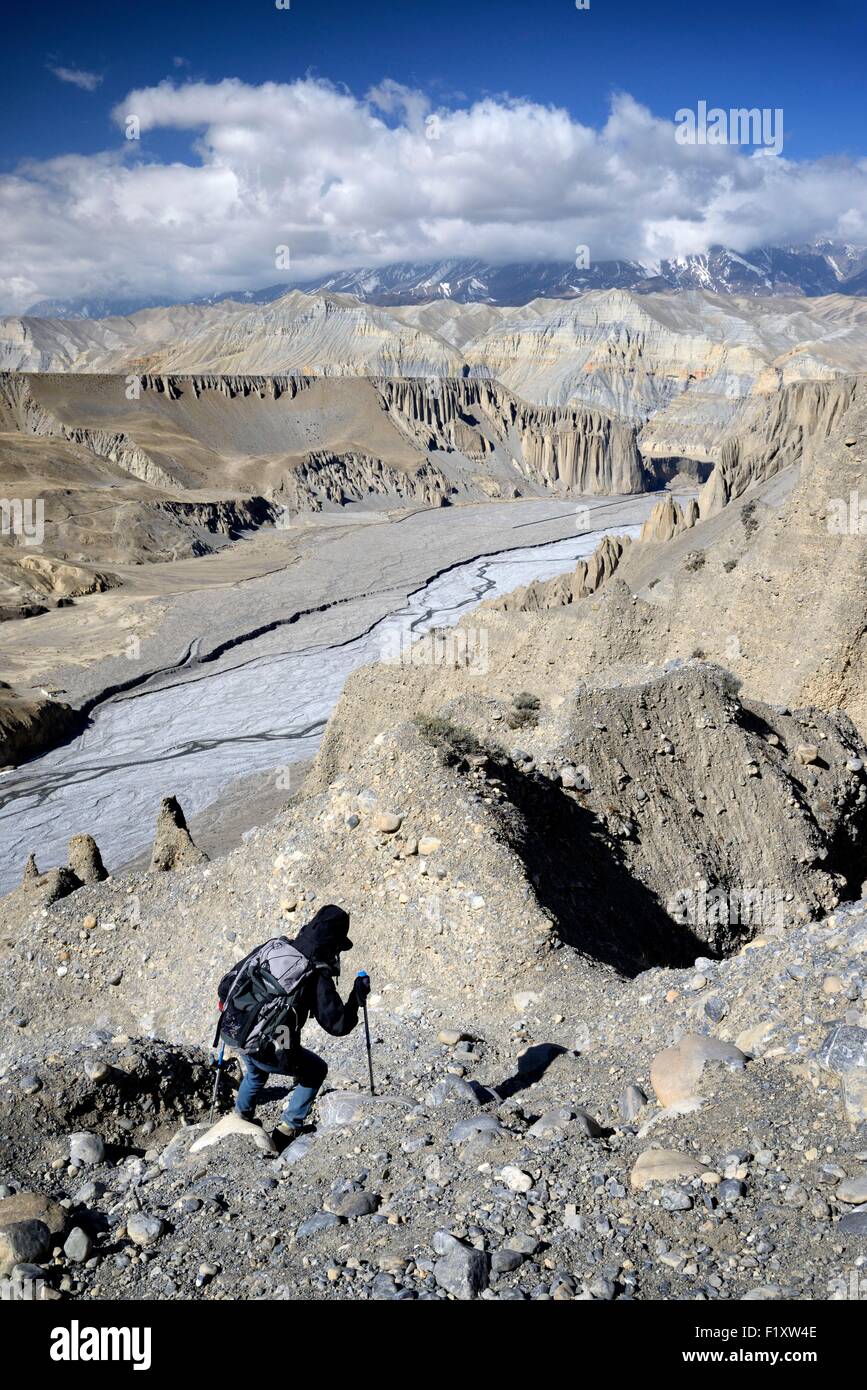 Nepal, Gandaki zone, Upper Mustang (near the border with Tibet), trekker going down into a canyon between Yara and Tangge Stock Photo