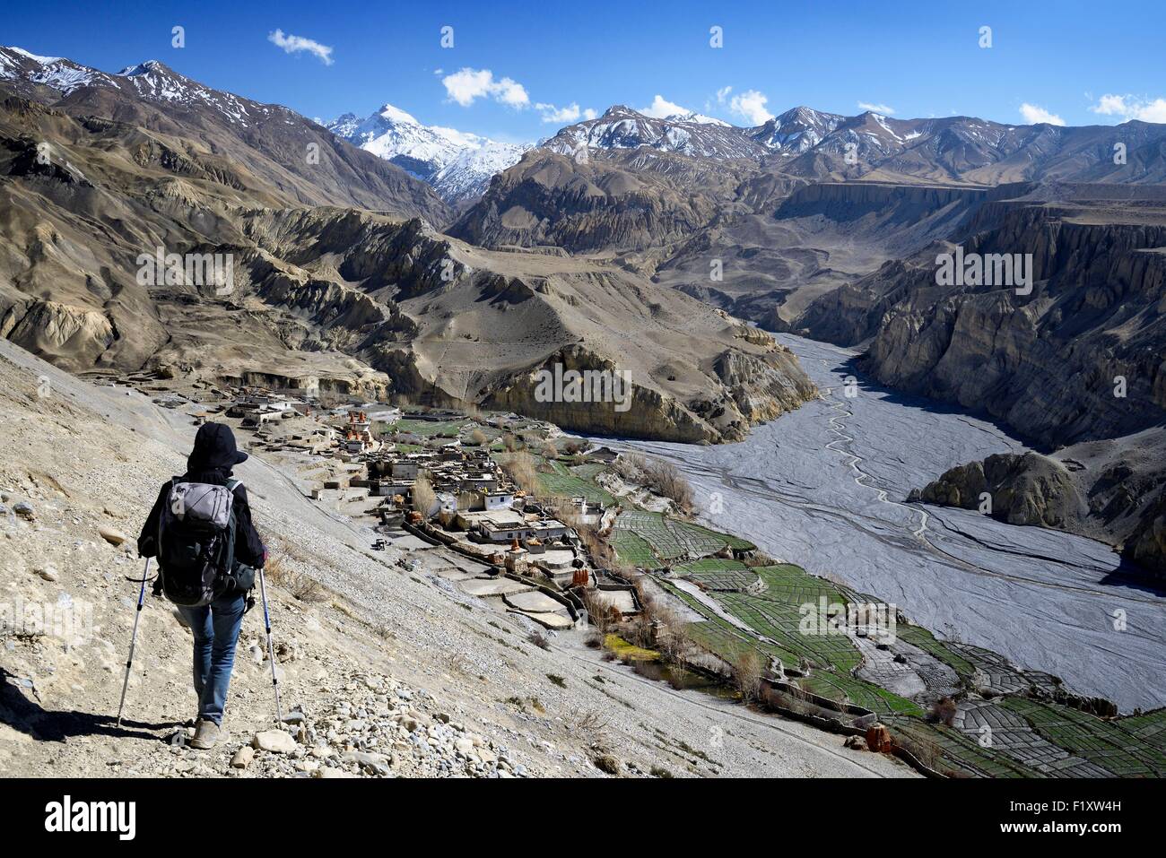 Nepal, Gandaki zone, Upper Mustang (near the border with Tibet), trekker going down towards the village of Tangge Stock Photo