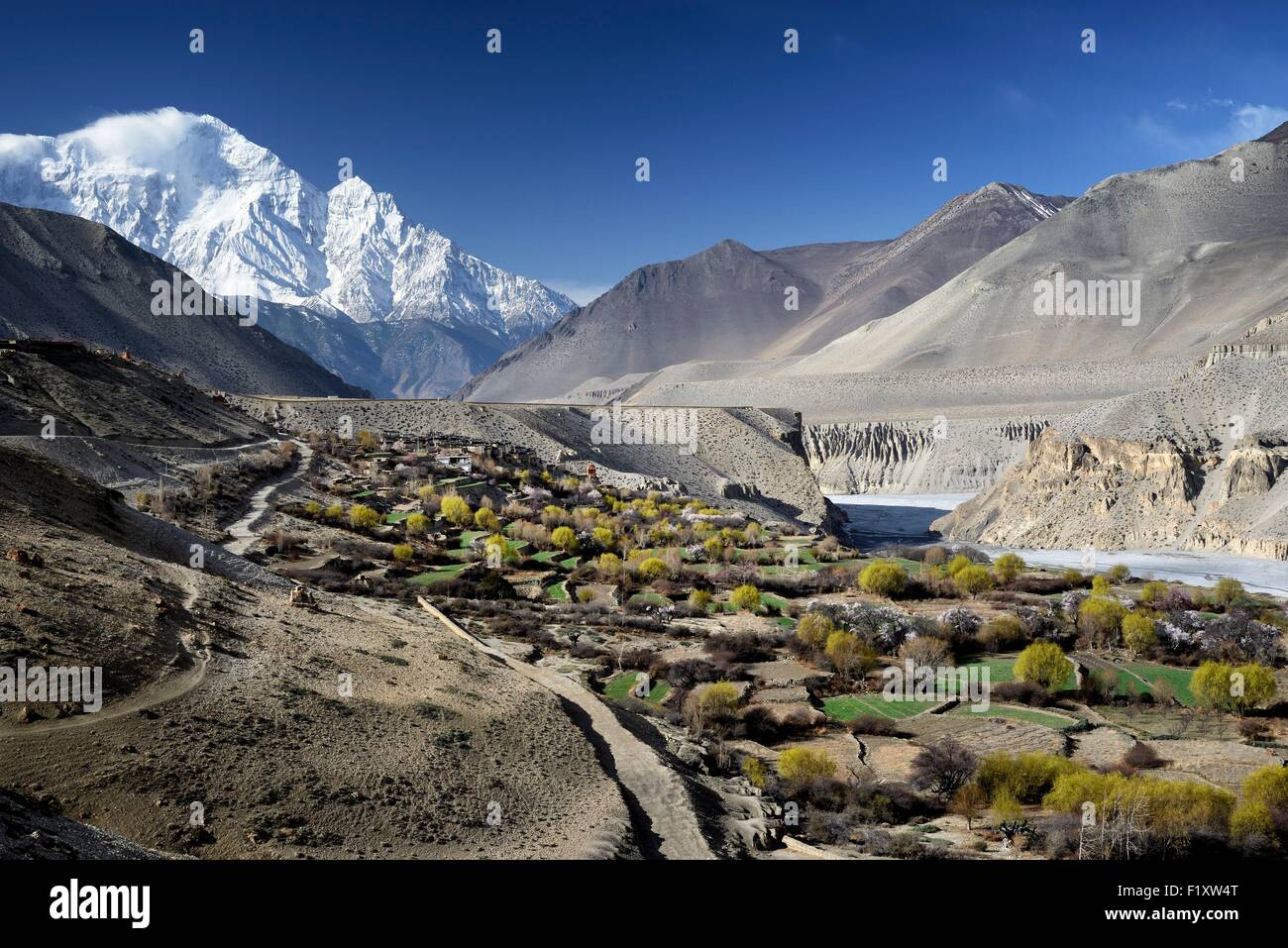 Nepal, Gandaki zone, Upper Mustang (near the border with Tibet), village of Tangbe surrounded by fields in the valley of the Kali Gandaki river, Nilgiri peak (7061m) Stock Photo