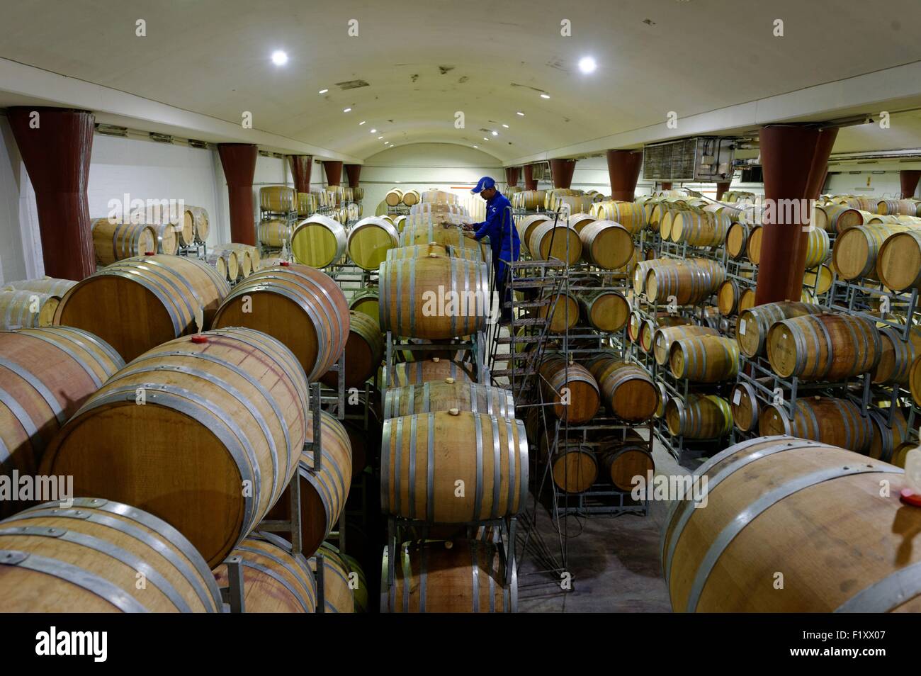 South Africa, Western Cape, on the wine road, Franschhoek, Boschendal