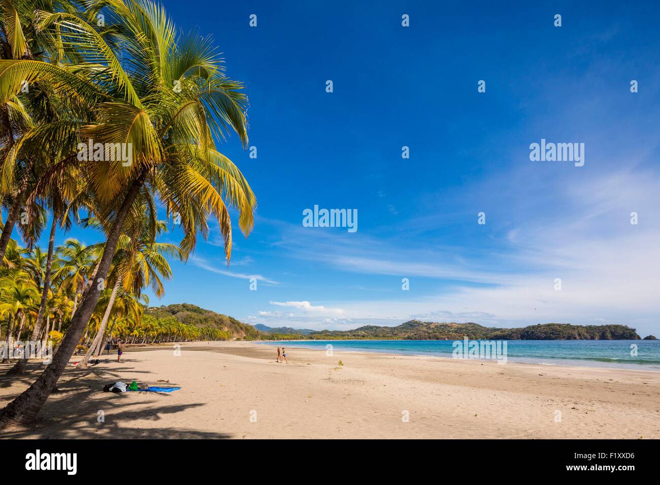 Costa Rica, Guanacaste province, Nicoya Peninsula, Nosara, Playa Carillo Stock Photo