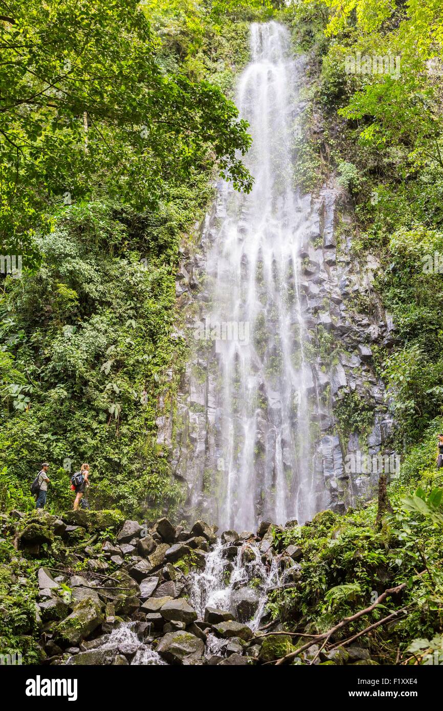 Costa Rica, Alajuela province, La Fortuna, the Catarata de la Fortuna, a 70m waterfall Stock Photo