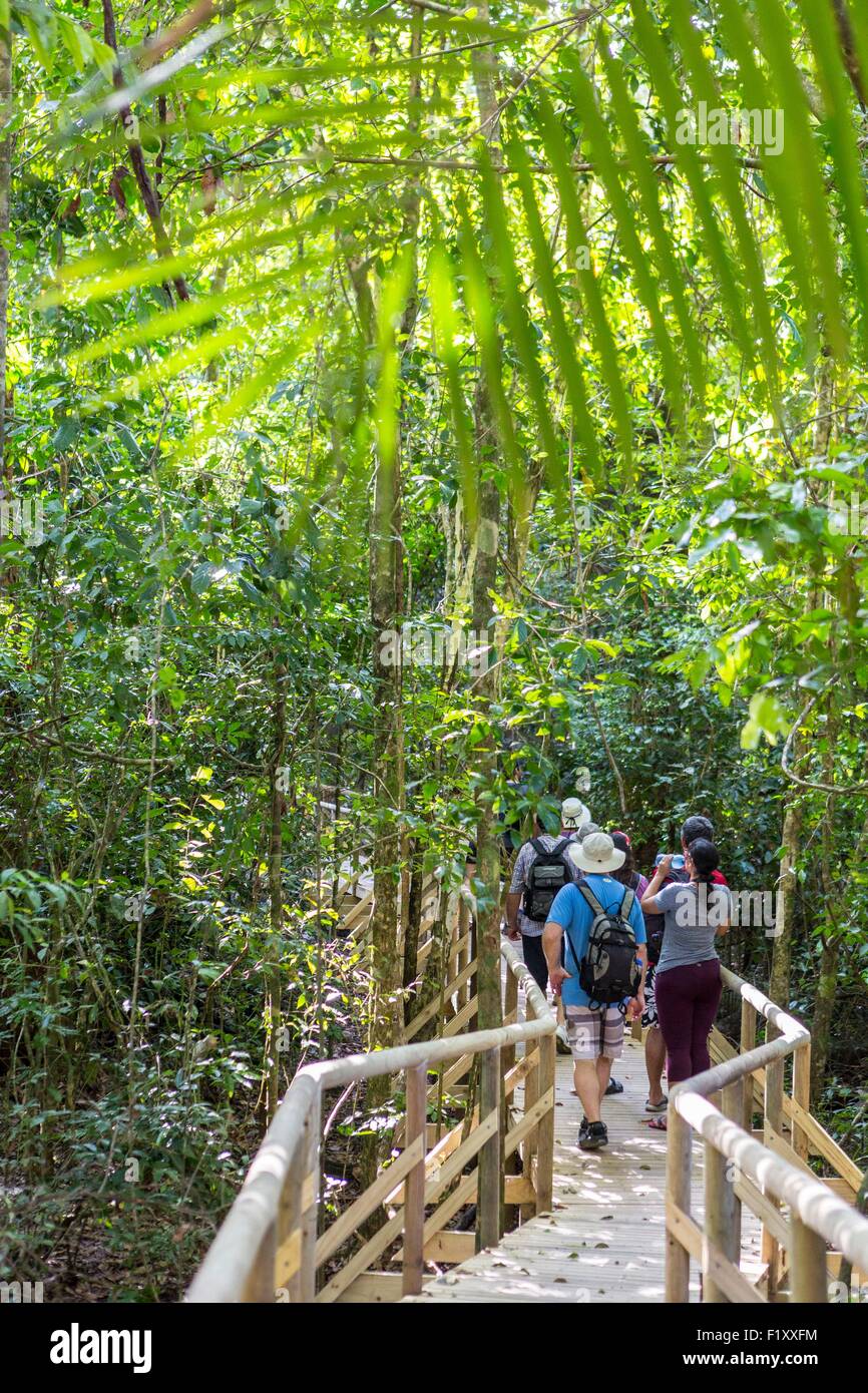 Costa Rica, Puntarenas province, Manuel Antonio National Park Stock Photo