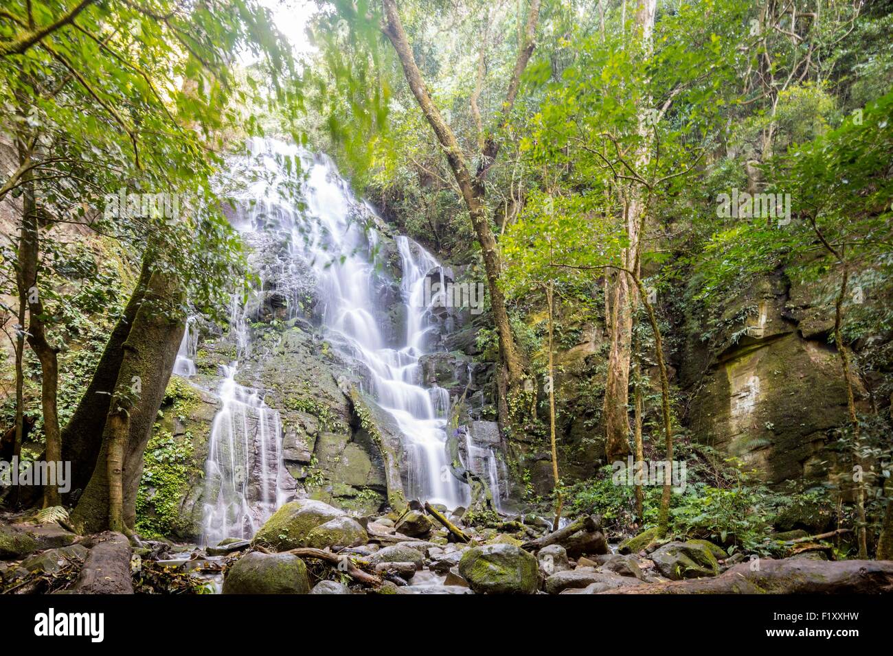 Costa Rica, Guanacaste province, Rincon de la Vieja National Park Stock Photo