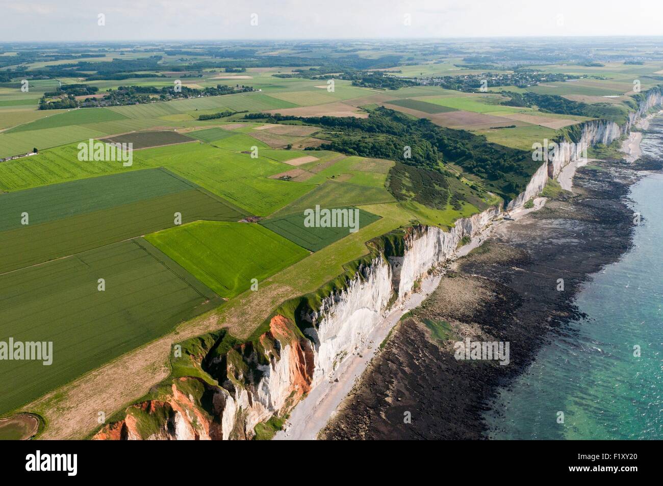 France, Seine Maritime, Pays de Caux, Cote d'Albatre, coast between Fecamp and Etretat, Valleuse, cliffs, rocky reef (aerial view) Stock Photo