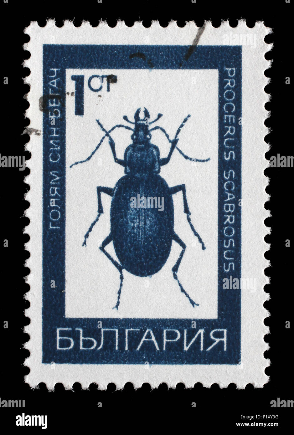 Stamp printed in Bulgaria showing beetle circa 1968 Stock Photo