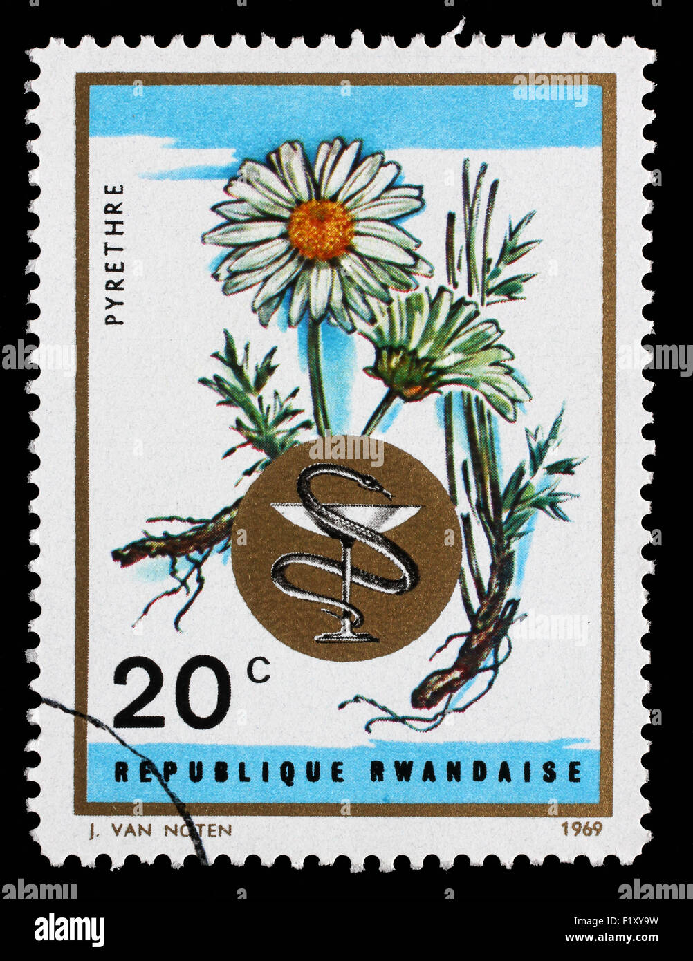 Stamp printed in Rwanda shows Camomile, Medical Plants series, circa 1969. Stock Photo