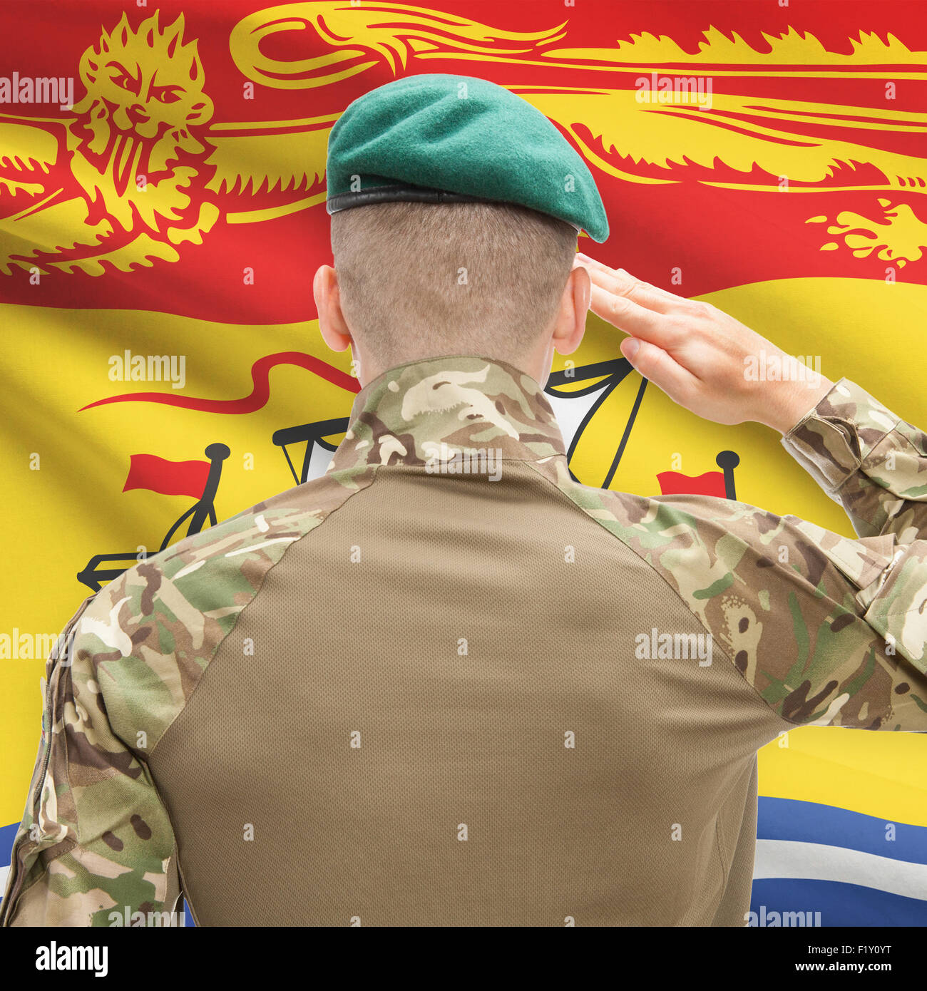 Soldier saluting to Canadial province flag series - New Brunswick Stock Photo