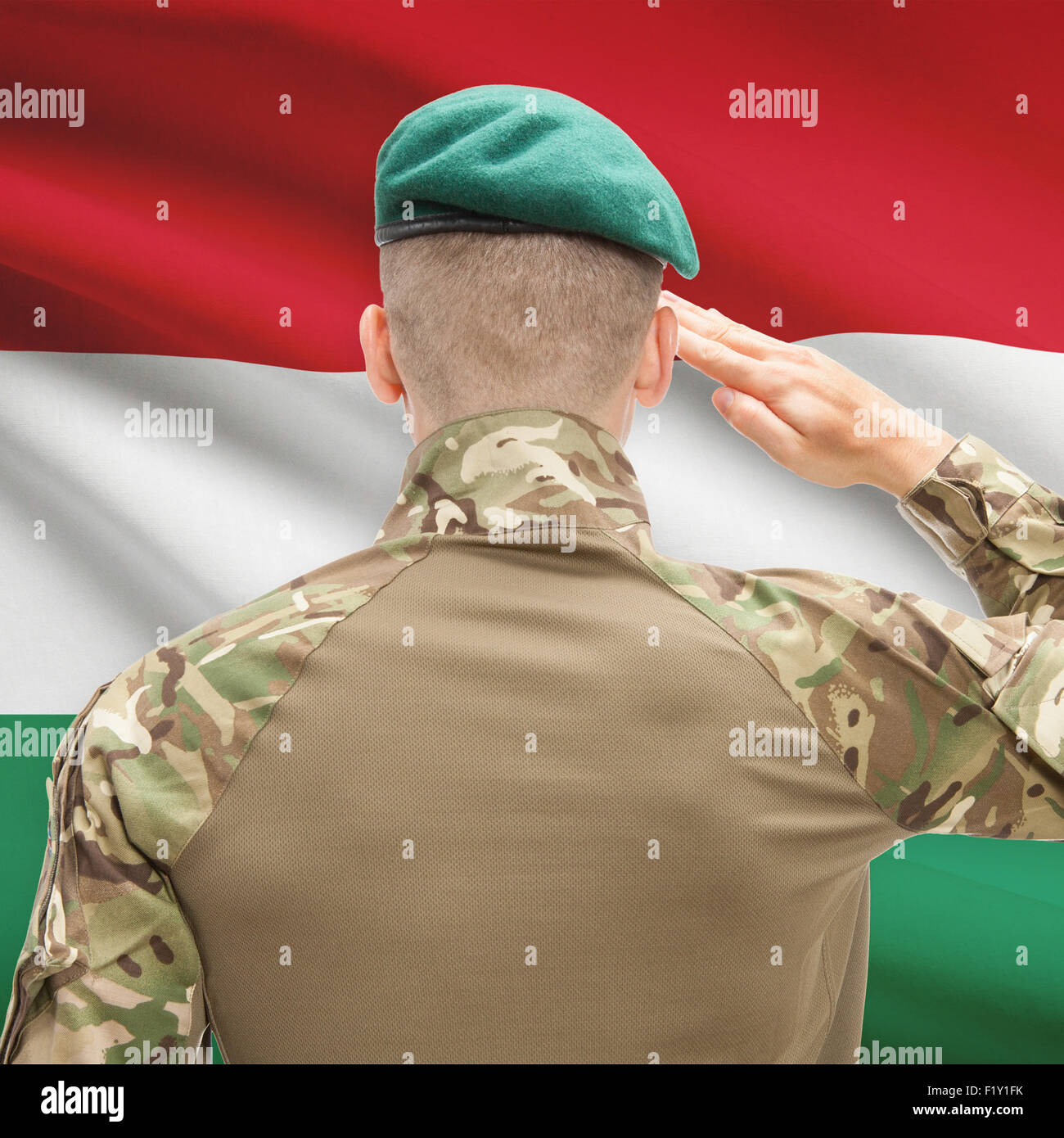 soldier-in-hat-facing-national-flag-series-hungary-F1Y1FK.jpg