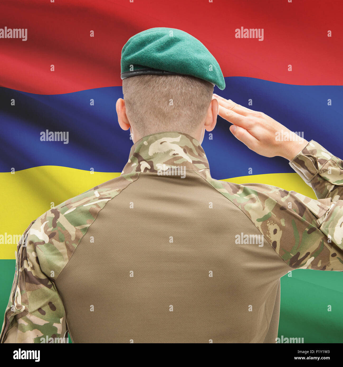 Soldier in hat facing national flag series - Mauritius Stock Photo
