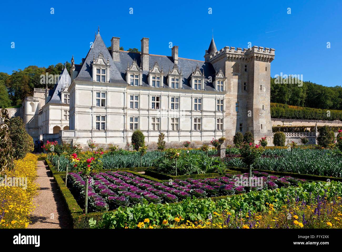 France, Indre et Loire, Loire Valley listed as World Heritage by UNESCO, Chateau de Villandry, the castle and the gardens, property of Henri and Angelique Carvallo Stock Photo