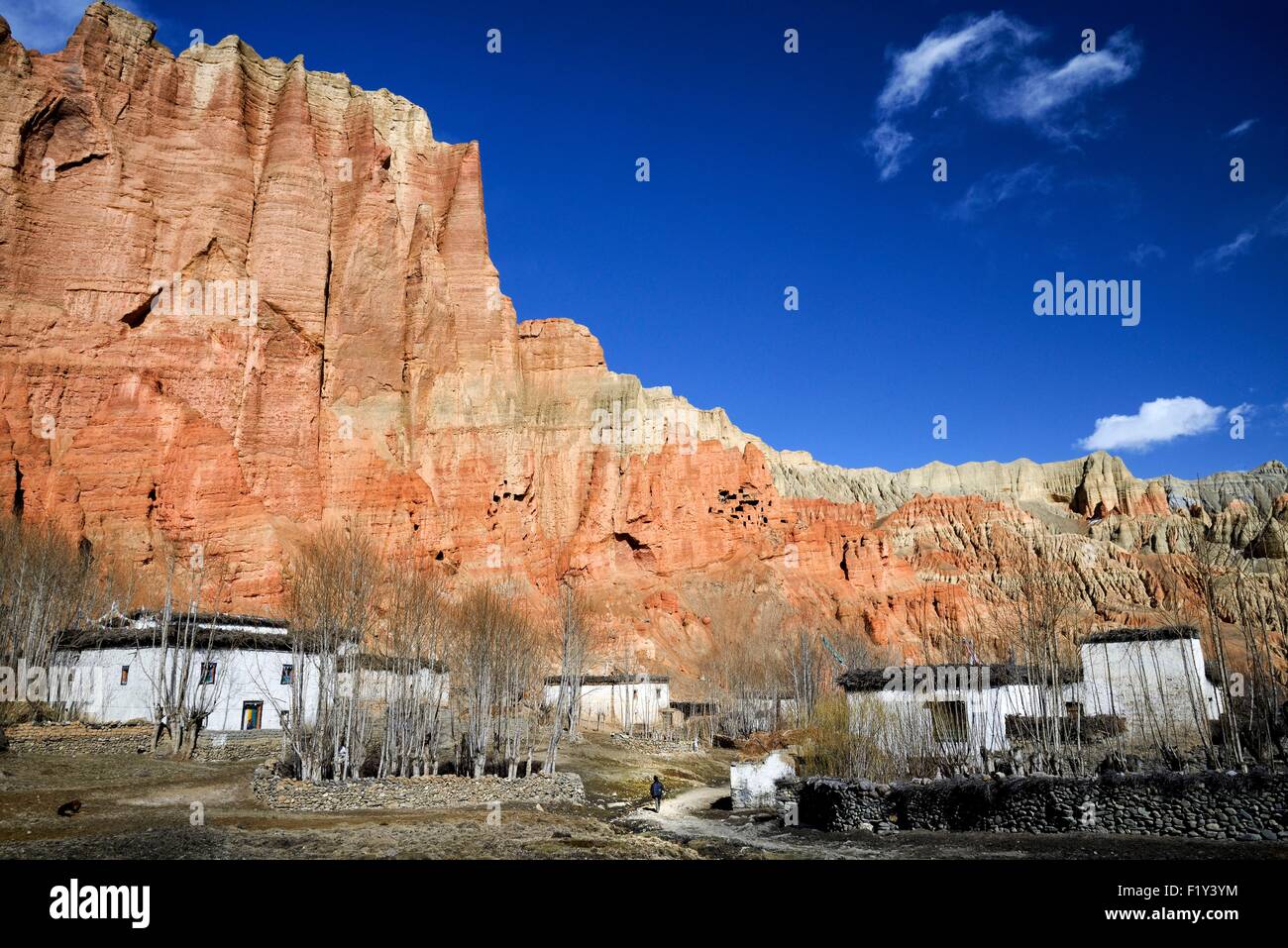 Nepal, Gandaki zone, Upper Mustang (near the border with Tibet), houses in the village of Dhakmar and red cliff with caves Stock Photo