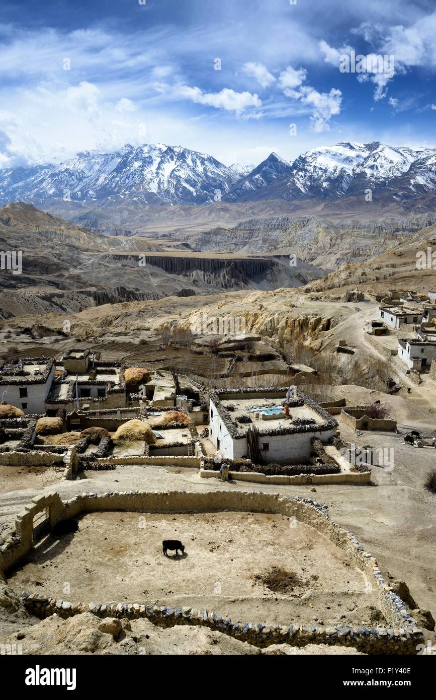 Nepal, Gandaki zone, Upper Mustang (near the border with Tibet), village of Ghara between Yara and Lori Gompa Stock Photo