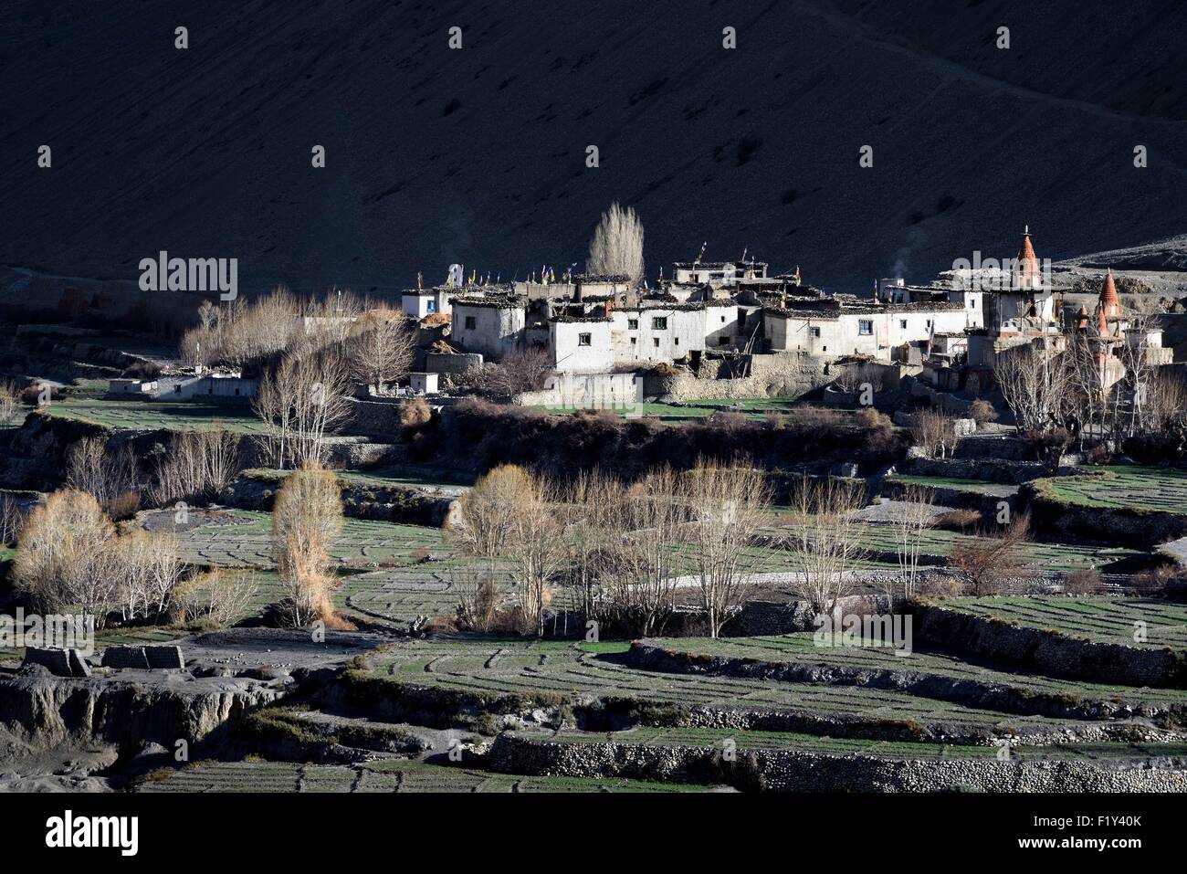 Nepal, Gandaki zone, Upper Mustang (near the border with Tibet), village of Tangge Stock Photo
