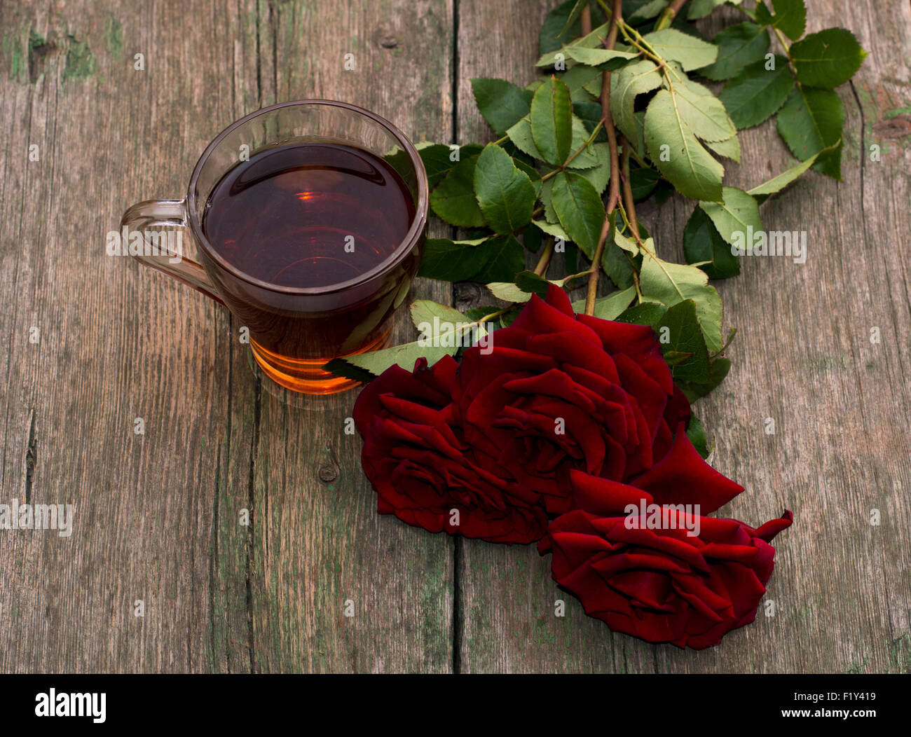 cup of tea and three red beautiful roses, still life Stock Photo