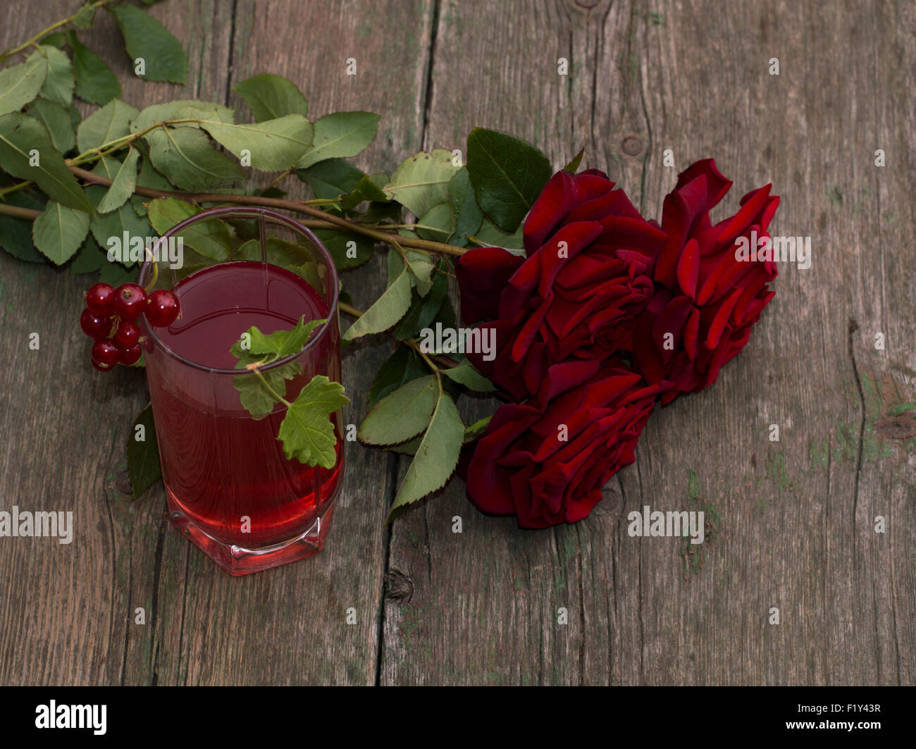 Group red roses cut out hi-res stock photography and images - Alamy