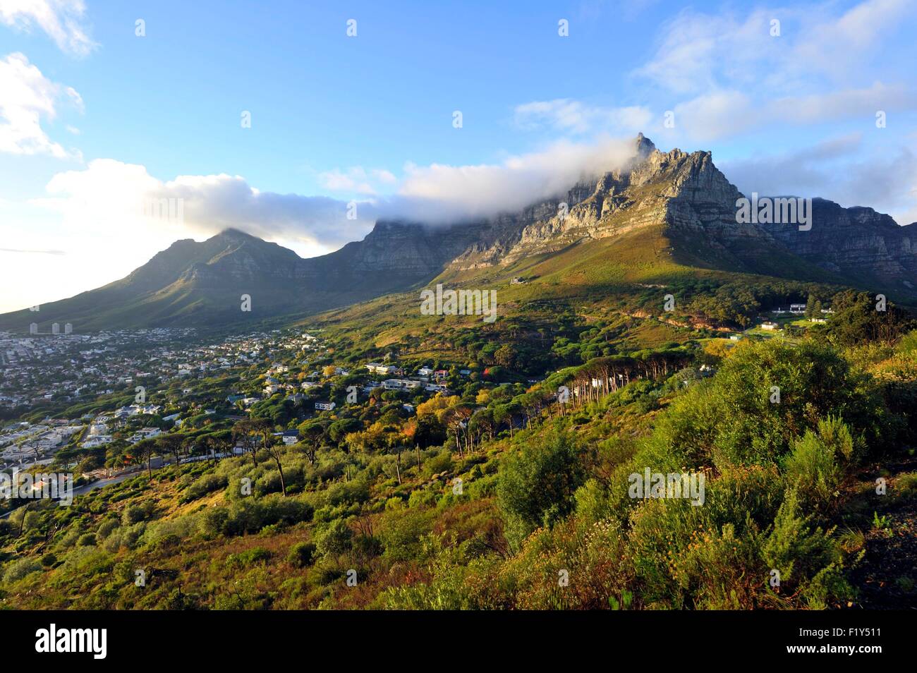 South Africa, Western Cape, Cape Town, Table Mountain, view from Signal Hill road Stock Photo