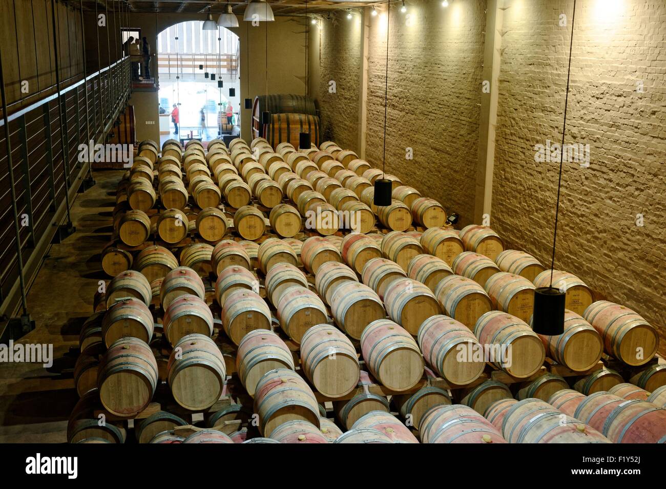 South Africa, Western Cape, Cape Town, Constantia, Groot Constantia