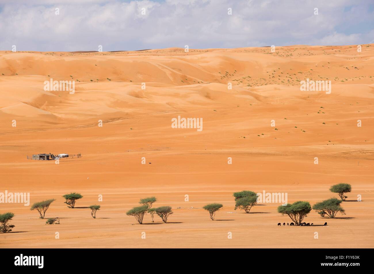 Oman, Sharquiyah Sands the Eastern Sands, Raka, beduin camp of Madam Salma Stock Photo