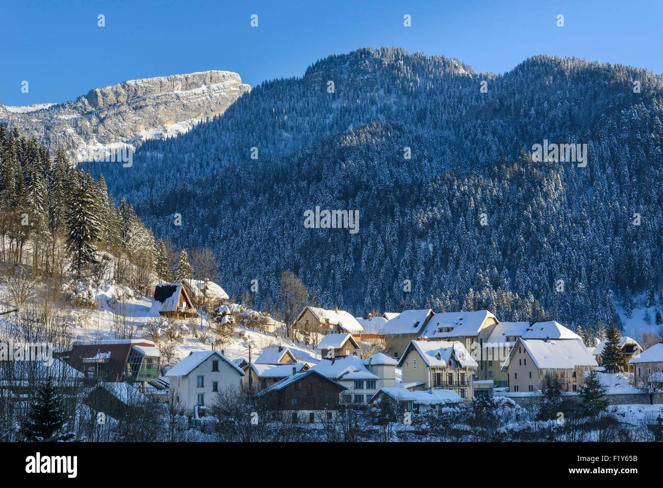 France, Isere, Parc Naturel Regional de la Chartreuse (Natural regional