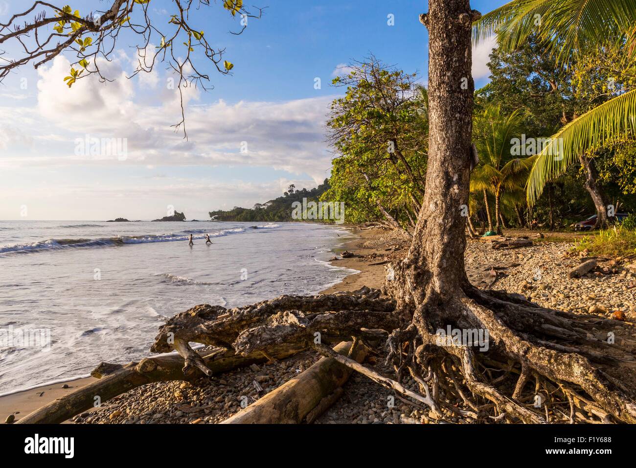 Beach Dominical Costa Rica Central Stock Photos Beach