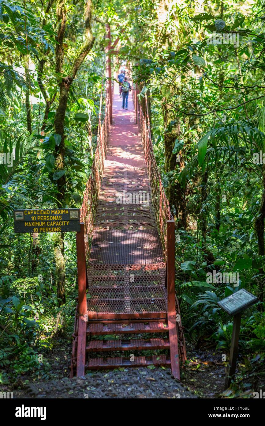 Costa Rica, Puntarenas province, Monteverde Cloud Forest, Reserva Biologica del Bosque (biological reserve of the cloud forest) Stock Photo