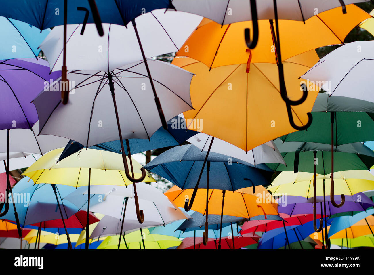 Colorful umbrellas hanging in the street making street art interesting