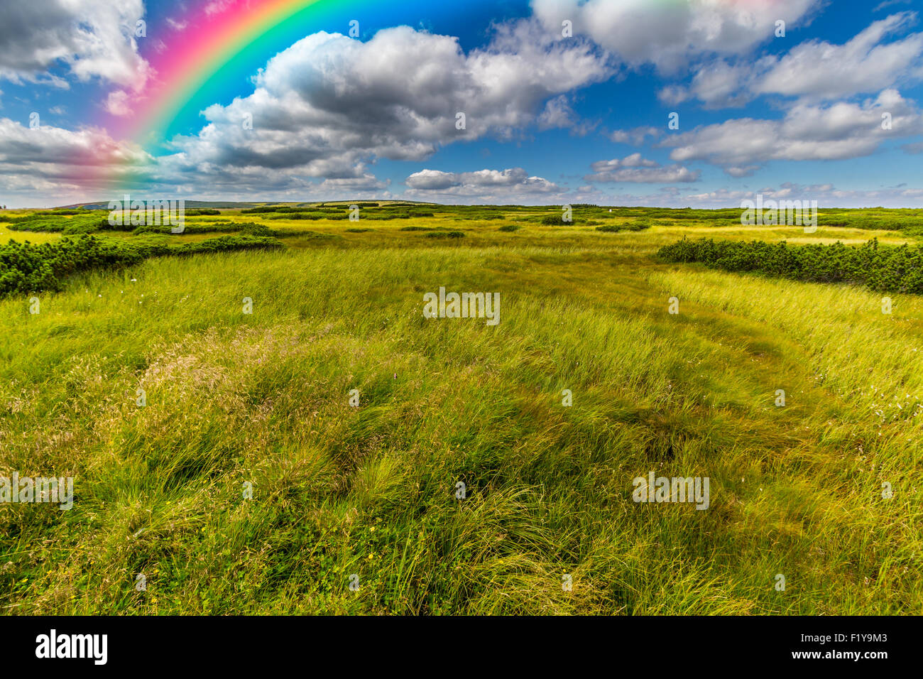 Rainbow in the sky Stock Photo Alamy