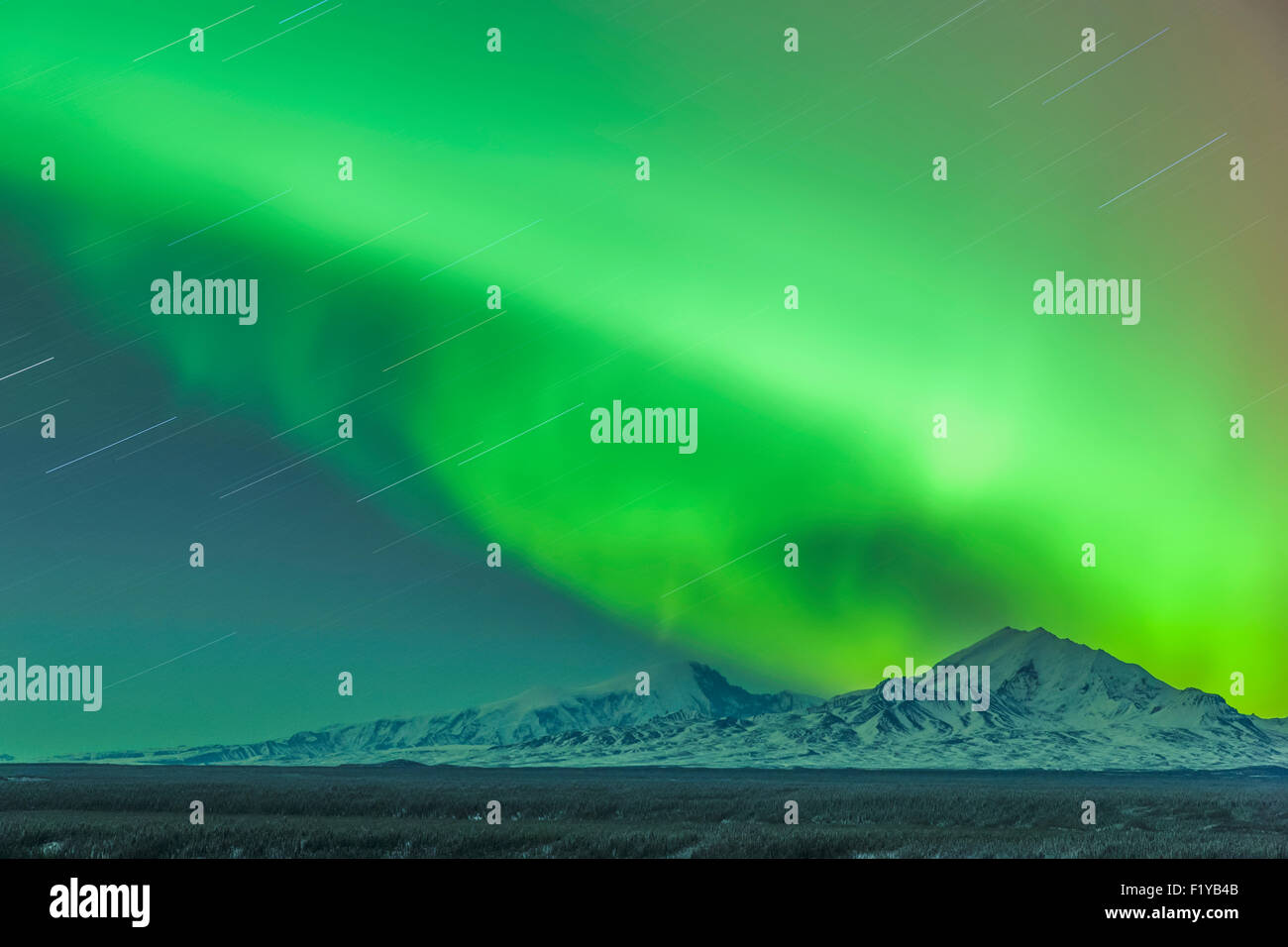 Winter,Alaska,Aurora Borealis,Star Trail Stock Photo Alamy