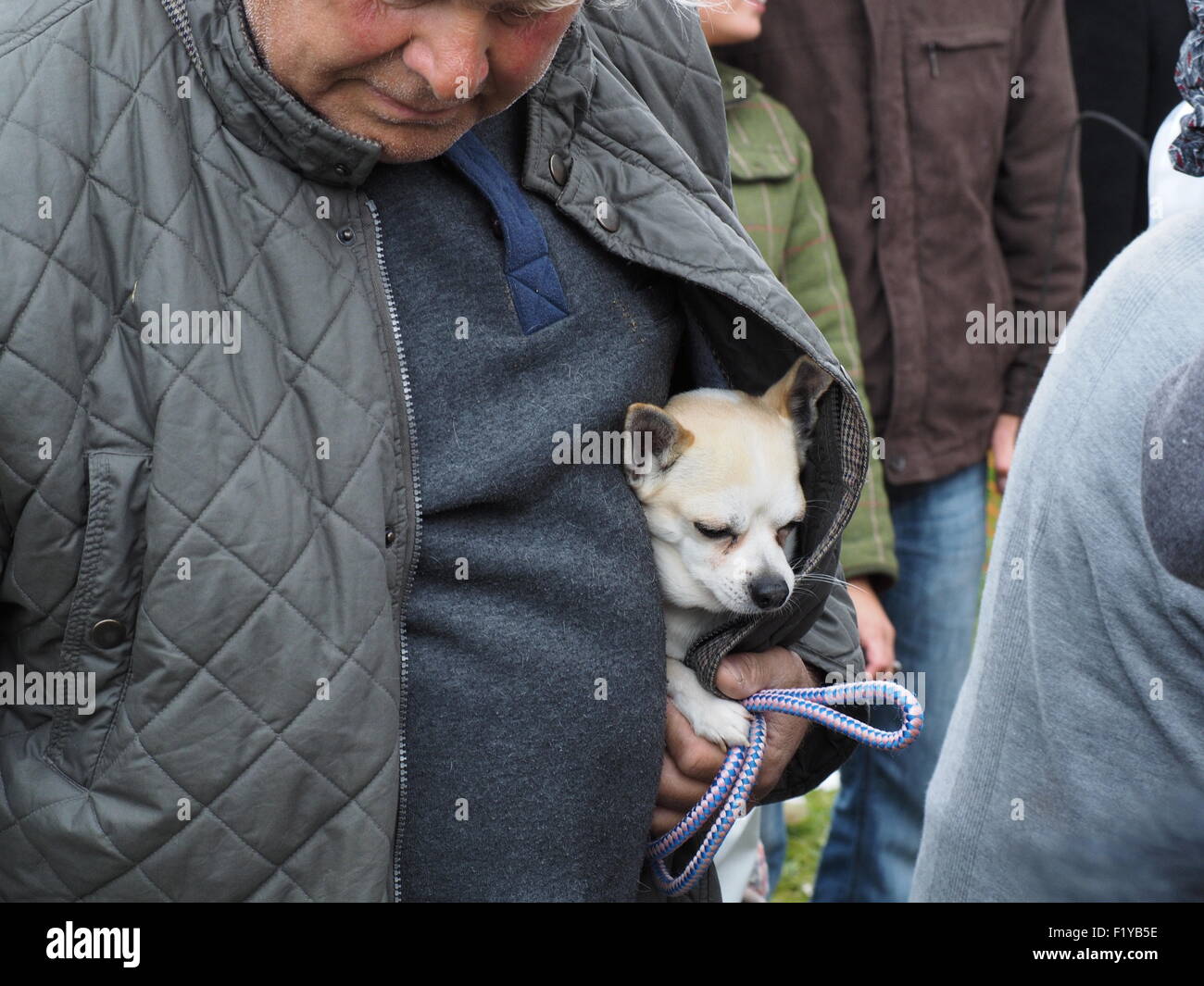 at the famous annual travellers' gathering at Appleby Horse Fair, Cumbria England UK Stock Photo