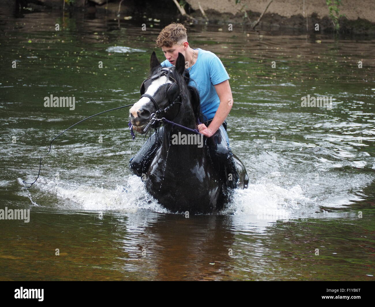 wet young man in blue T-shirt riding horse in River Eden at the famous ...