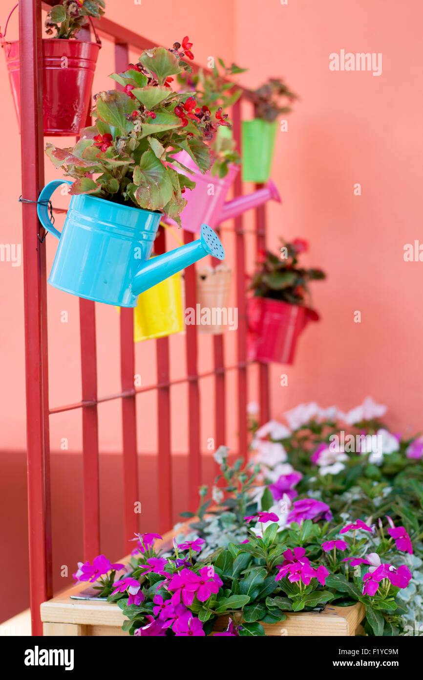 Beautiful colorful idea for small flower pots in home garden where there is not very big space to grow different species. Stock Photo