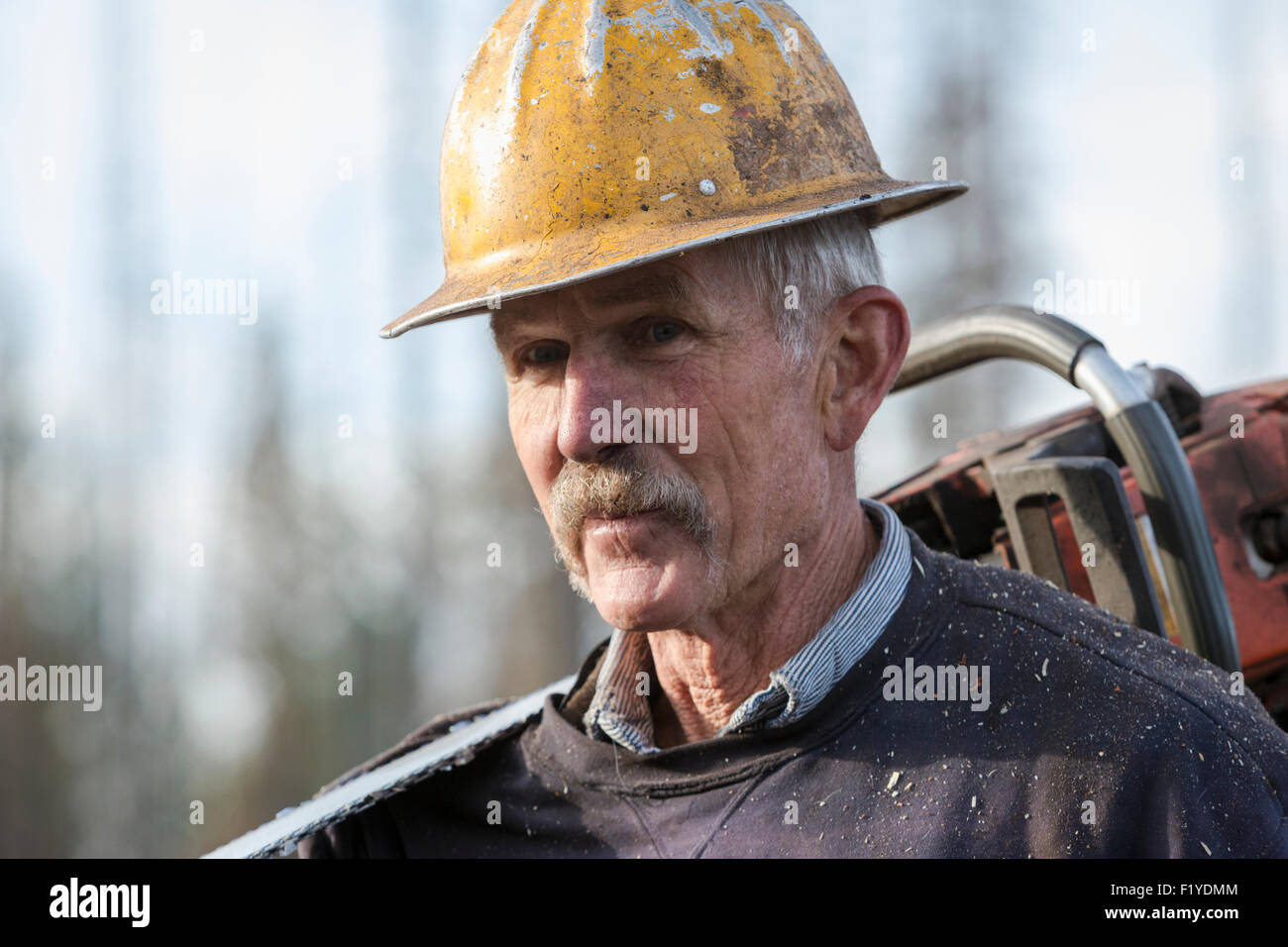 Timber faller hires stock photography and images Alamy