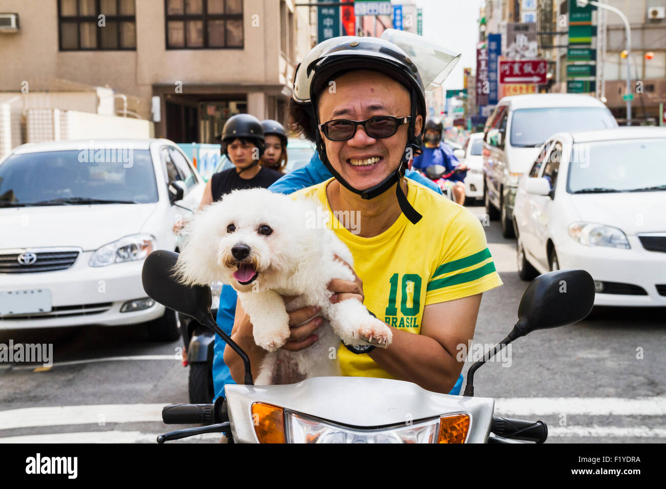 Man,Portrait,Dog,Traffic,Taiwan,Tainan Stock Photo Alamy