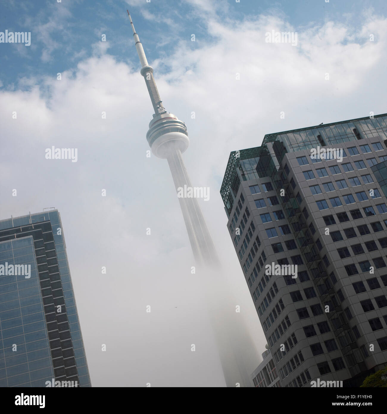 First,Light,Building,Buildings,C. N. Tower Stock Photo Alamy