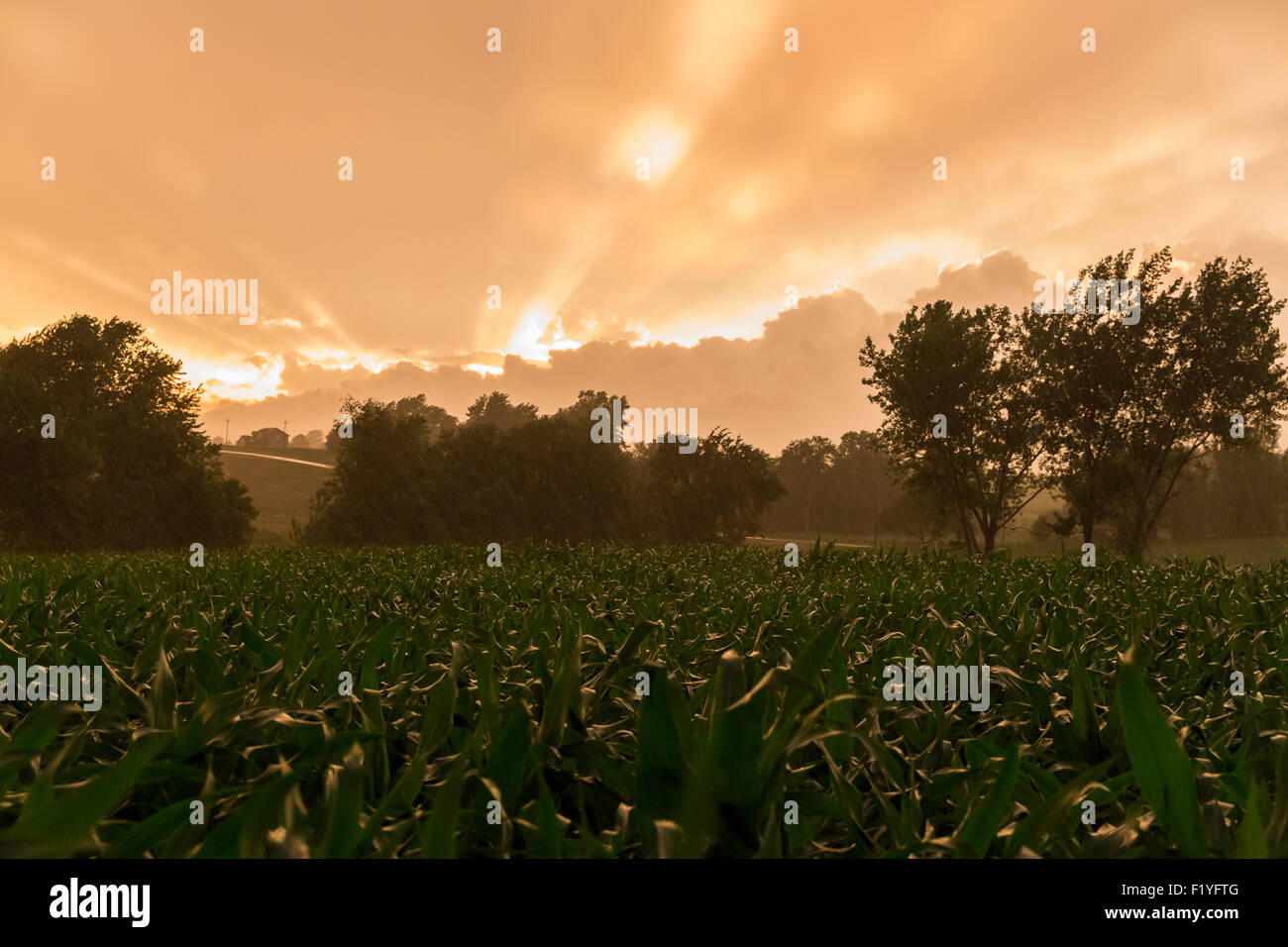 The sun sets during a rain storm Stock Photo - Alamy