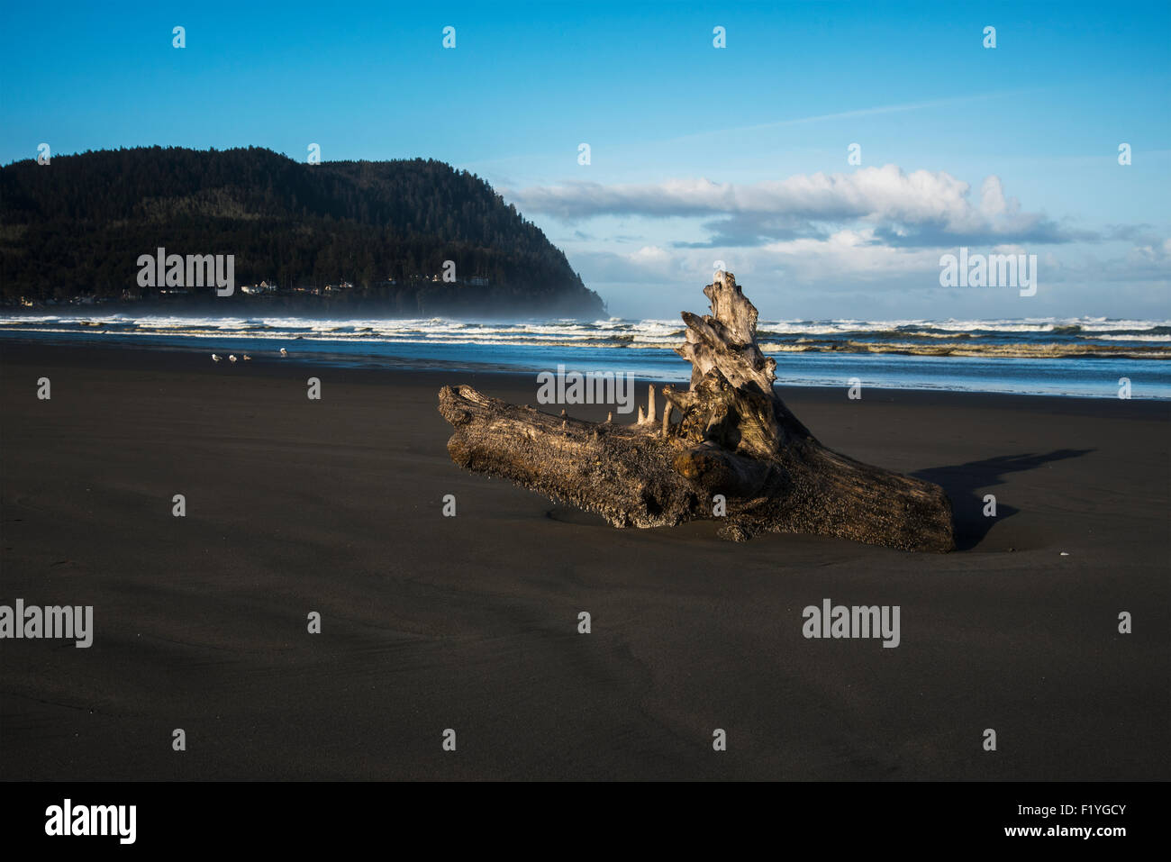 Seaside and tillamook head hires stock photography and images Alamy