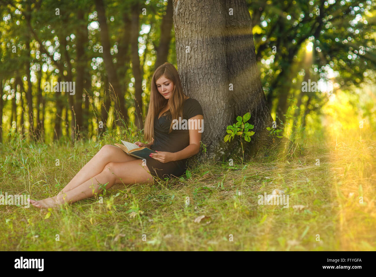 woman girl sits reading a book under a tree in the forest park o Stock ...