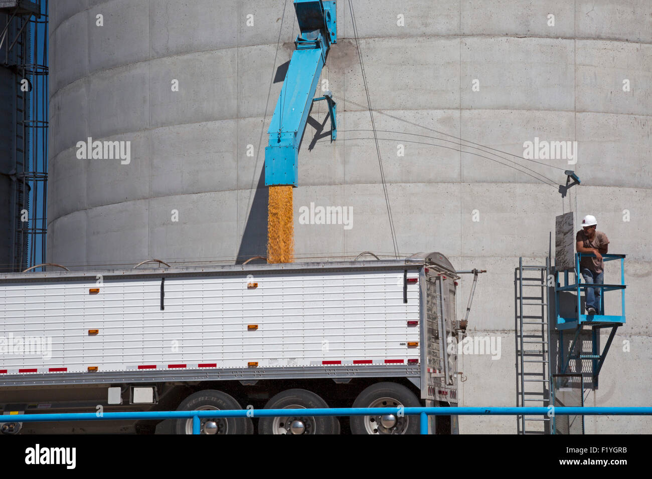 Chapman, Nebraska - A truck is loaded at a grain elevator. Stock Photo