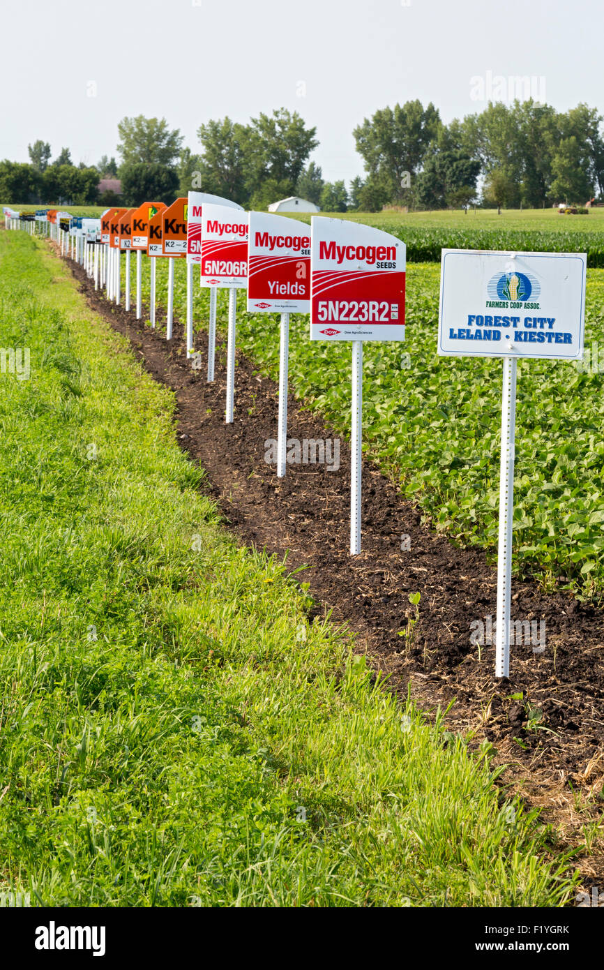 Forest City, Iowa - Signs mark different crop varieties in a soybean field, including crops genetically modified. Stock Photo