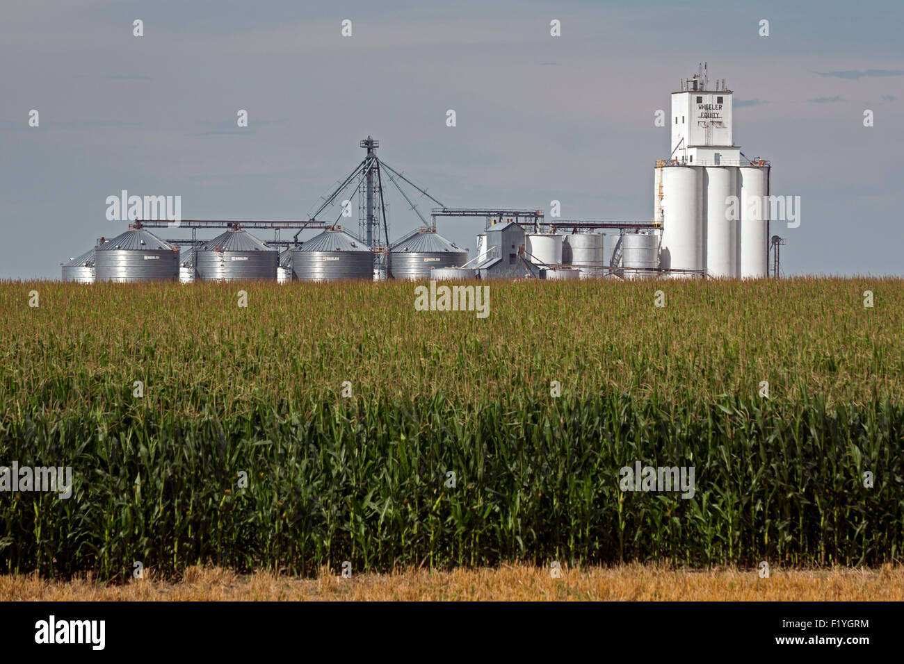 Wheeler, Kansas The Wheeler Equity Exchange's grain elevator and