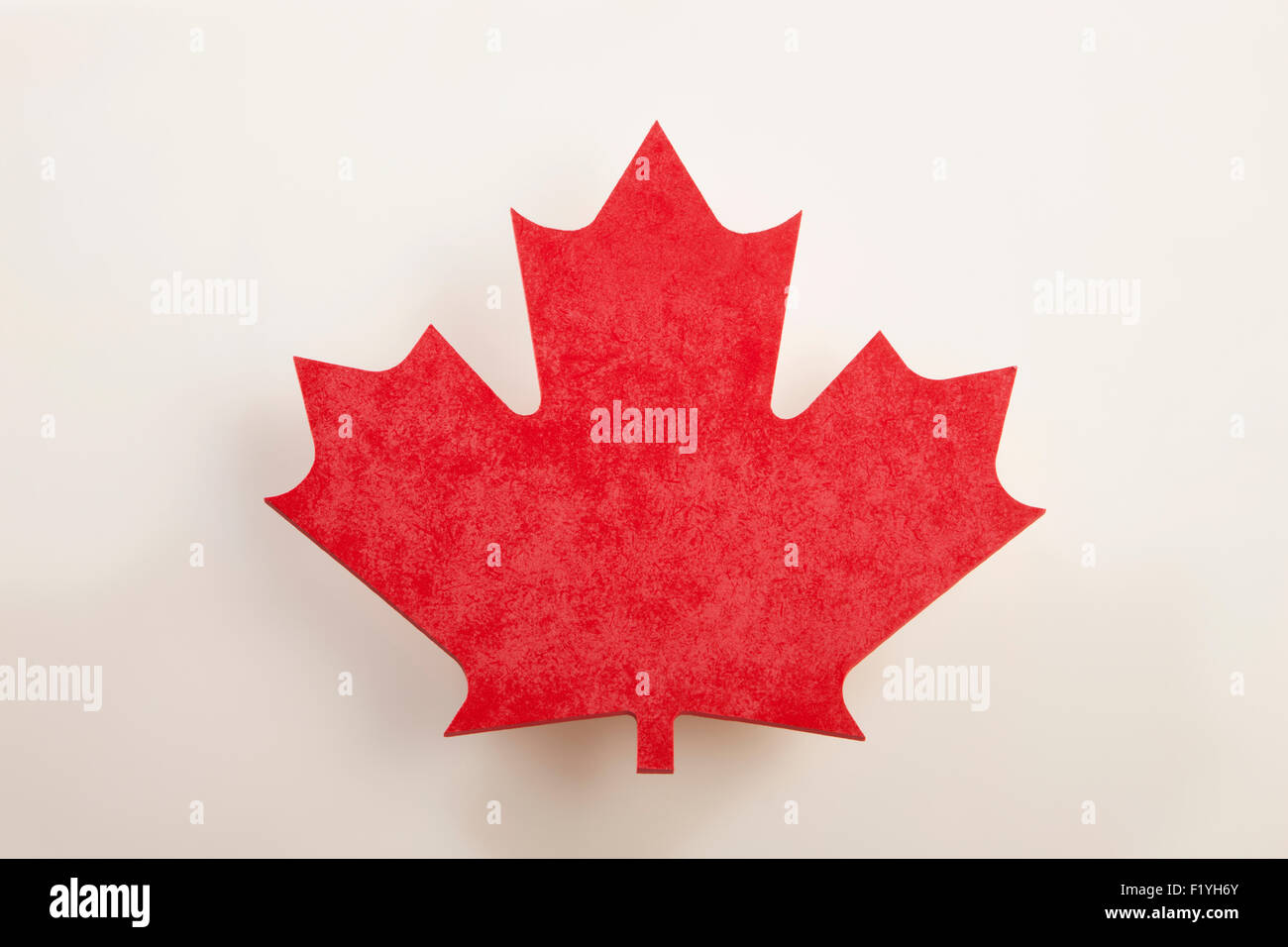 Canadian Flag Design Made Up Of A Real Maple Leaf Stock Photo