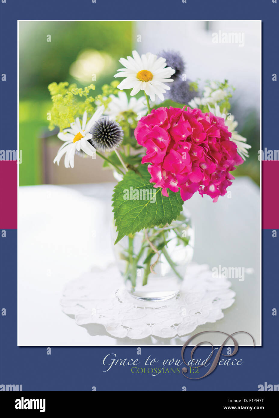 Religious,Canada,Hydrangea,Flower,Still Life Stock Photo