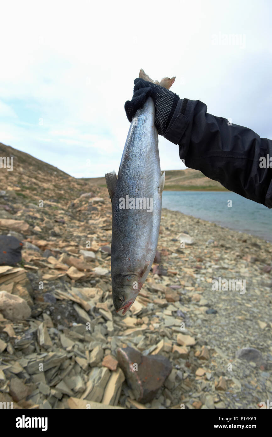 Canada,Boy,Nunavut,Arctic Ocean,Arctic Char Stock Photo Alamy