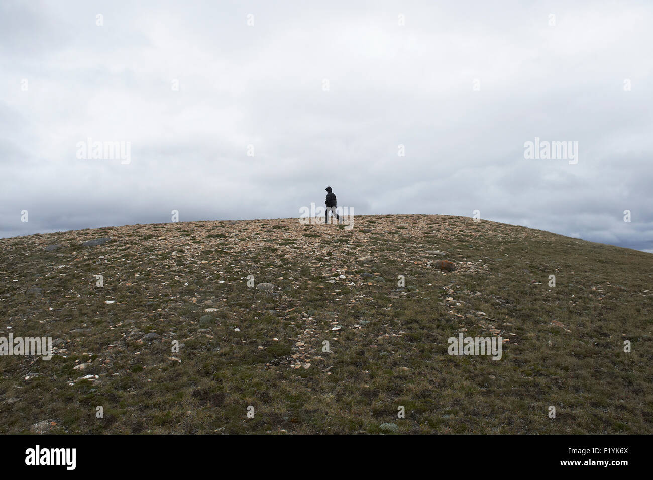 Canada,Hiking,Boy,Mountain,Nunavut Stock Photo