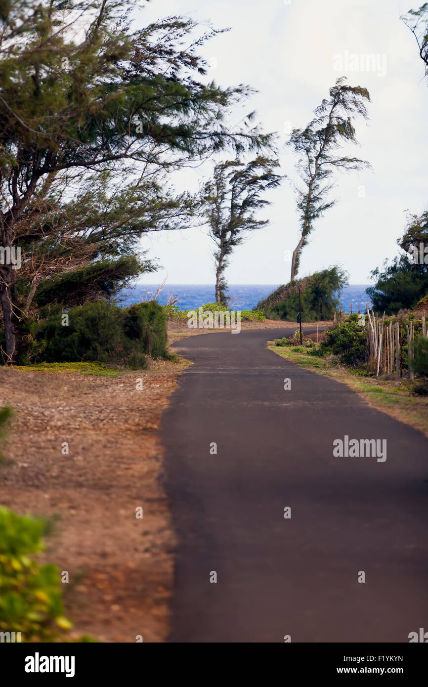 Road,Beach,Hawaii,Kauai Stock Photo