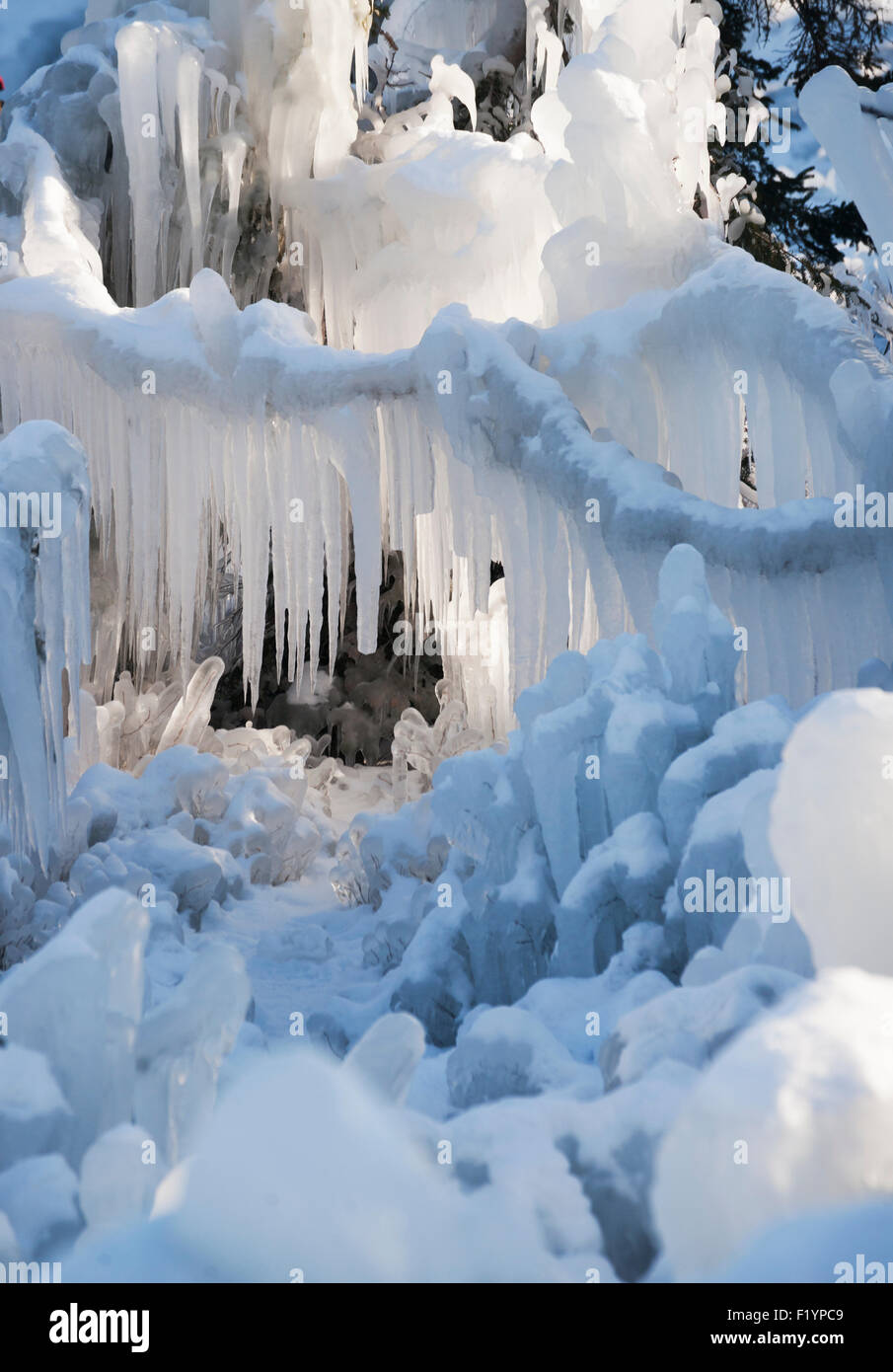 Frozen forest along Lake Superior in the winter after a 15 ft wave crashed into a cliff and the icy water instantly froze it Stock Photo