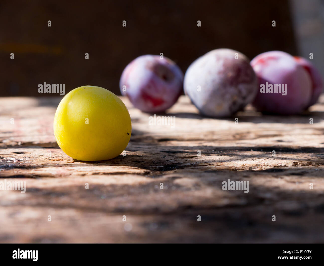 The nature object Plum fruits Stock Photo Alamy