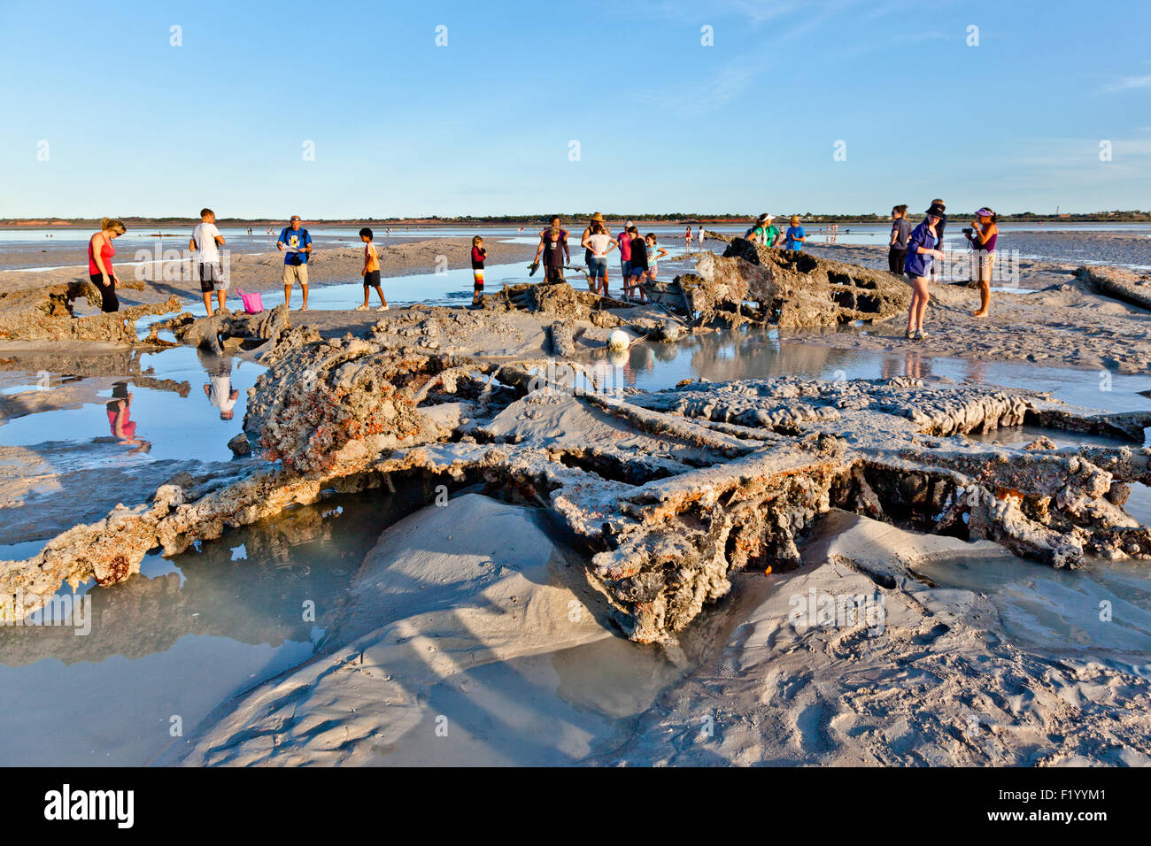 Australia, Western Australia, Broome, exploring WWII Catalina flying boat wrecks in mud flats at Roebuck Bay duringt low tide Stock Photo