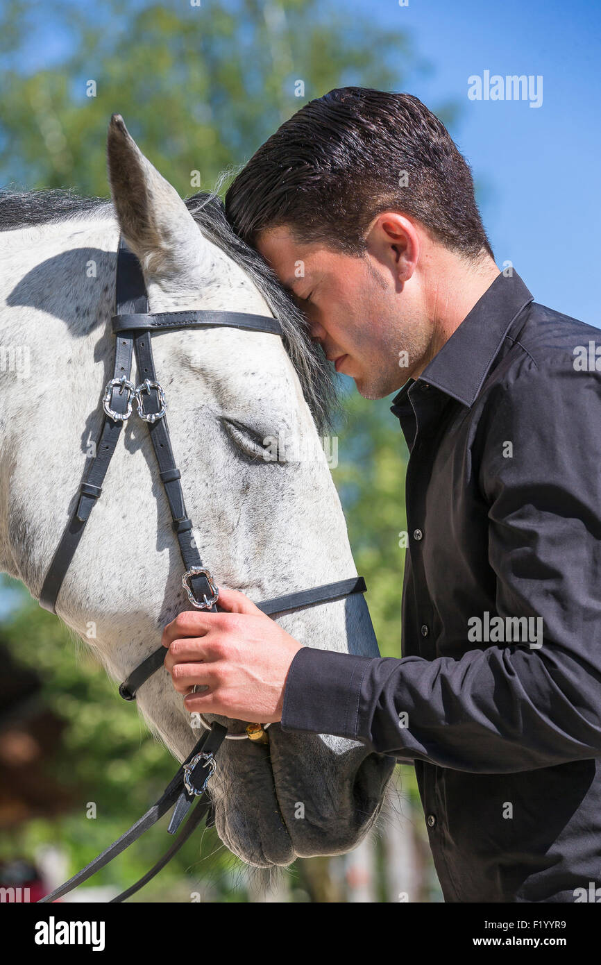 Andalusian Horse  Sandro Huerzeler head-to-head its gray gelding Switzerland Stock Photo